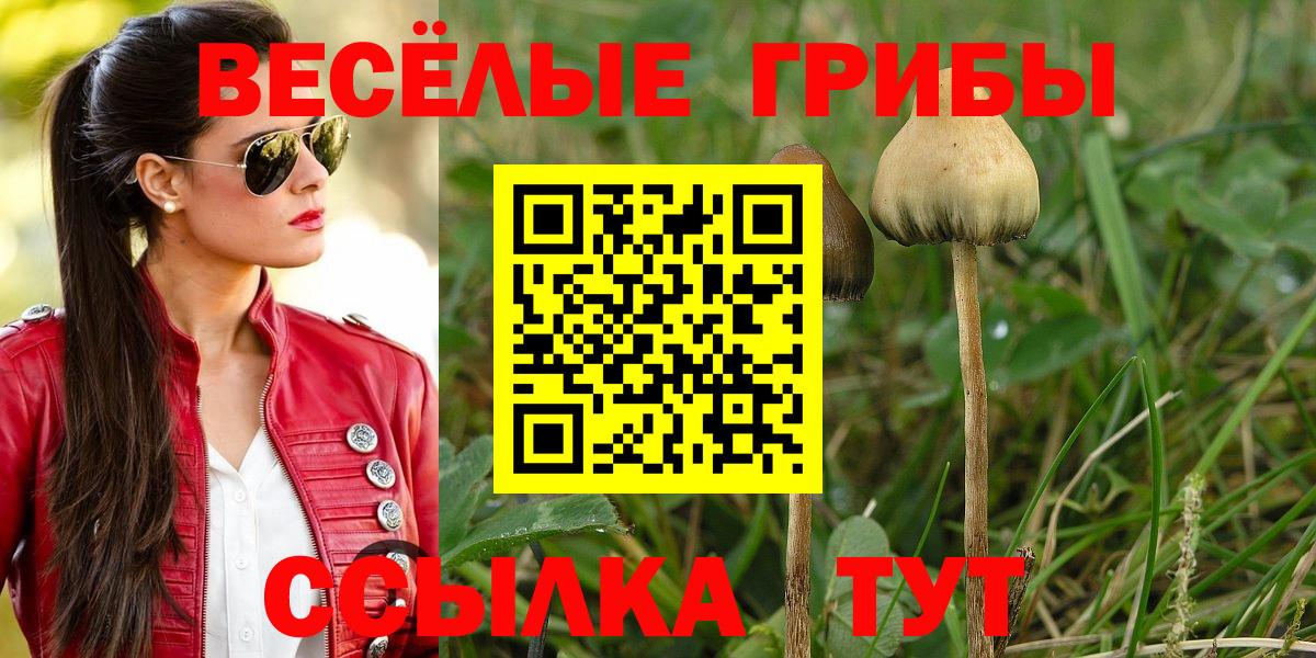 Галлюциногенные грибы Cubensis  Псилоцибиновые грибы Psilocybine cubensis  Вход с VPN  Соликамск 